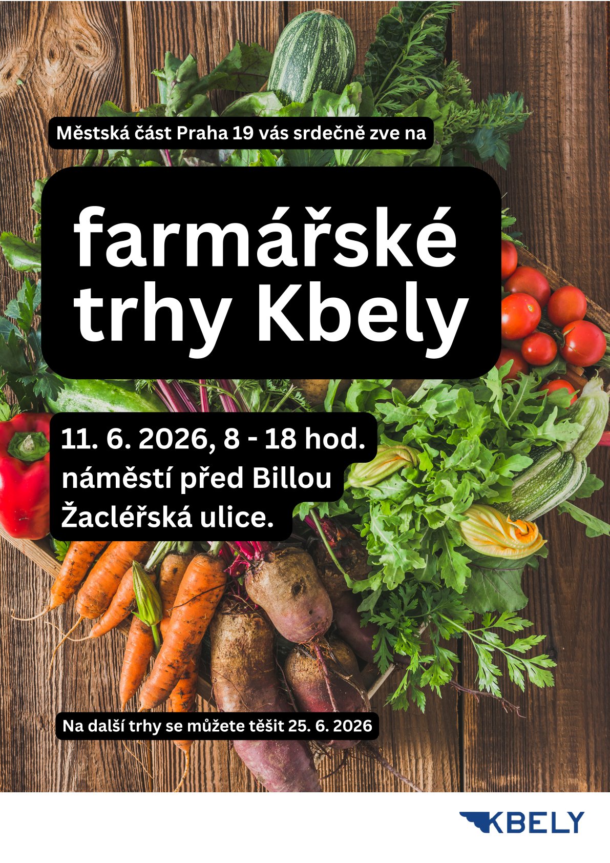 ÚMČ Praha 19 - 